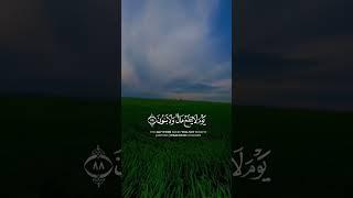 #ستوريات #ستوريات_قرآن #قرآن حالات واتساب ( ولا تخزني يوم يبعثون يوم لا ينفع مالا ولا بنون )
