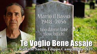 Waltz: Te Voglio Bene Assaje, Bass version, Mario il Basso, Kurt Lichtmann, Ithaca