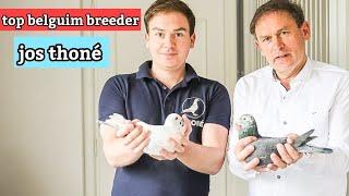 Jos Thoné racing pigeon : Feeding, Breeding & Racing Preparation for Champion Racing Pigeons .