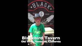 The Kid Foodie Reviews Blackbird Tavern