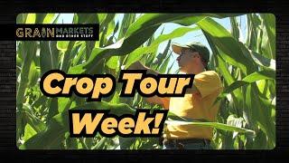 Crop Tour Week! + Joe's 2023 Corn Sales