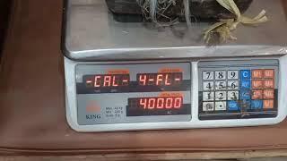 Calibration King Company 40 kg scale Malik Scale works