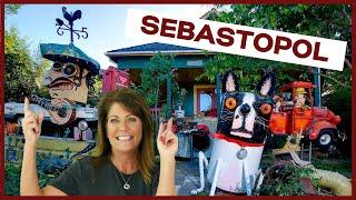 Sebastopol, CA Explained [EVERYTHING YOU NEED TO KNOW] Living in Sonoma County, CA