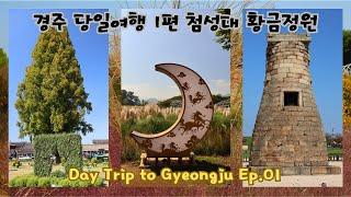 [Korea 한국] 경주 당일여행 1편 첨성대 핑크뮬리 황금정원 등등 Day Trip to Gyeongju Ep.01 (KOR/ENG)