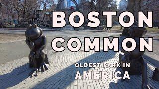 [4K] Walk through Boston Common