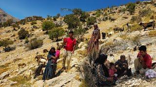 Nomadic lifestyle in the mountains |  a story of grazing sheep in the mountains of Iran#nomads