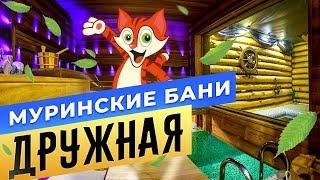 Муринские бани | Баня «Дружная» | Спб