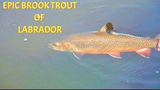 Fishing for the Legendary Brook Trout of Labrador