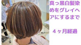 真っ黒白髪染めをグレイヘアにするまで　４ヶ月経過　　#short