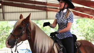 Training Naturally Gaited Horses - Gaited Horse Training  - MajesticRider.Com