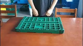 Portable Collapsible Fruit Plastic Crates