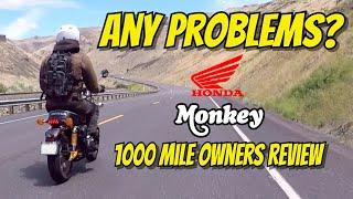 Honda Monkey Review After 1000 Miles - What Do I Think Of It? - An Owners Perspective