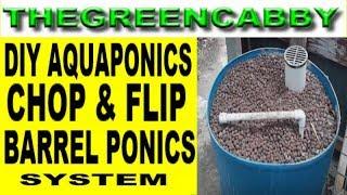 AQUAPONIC CHOP & FLIP 55 GALLON BARREL - DIY AQUAPONICS SYSTEM W/ BELL SIPHON BACKYARD BARRELPONICS