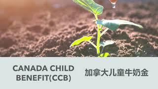 加拿大儿童牛奶金 | 每月金额，准备材料，填写表格 | CANADA CHILD BENEFIT (CCB)