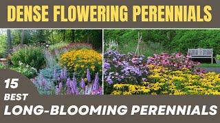 15 BEST Longest Blooming Perennials | Non-Stop Flowering Perennials For Low Maintenance Landscaping