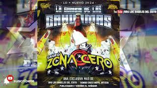 LA CUMBIA DE LAS CAGUAMAS ((DEMO)) (RUMBO AL 2025) - GRUPO ZONA CERO #video #musica #cumbia #2025