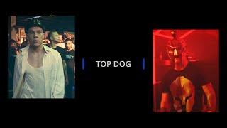 "Чибис" Николай VS "Гладиатор" Бовар | Top Dog