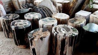 Petrified Wood Accent Tables - IndoGemstone