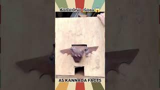Amazing Steel Artist Fact Video | #kannada #facts #karnataka #amazing #youtubeshorts #trendingshorts