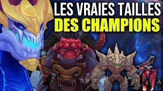 Les VRAIES Tailles des Champions de League Of Legends