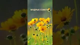 Мудрые советы #цитаты #мудрыеслова #мудрость #рекомендации #мотивацияивдохновение #жизнь #друзья