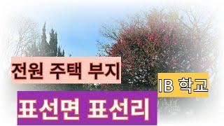 서귀포시 표선면 표선리    IB(아이비) 학군의 싼 주택부지(임야)