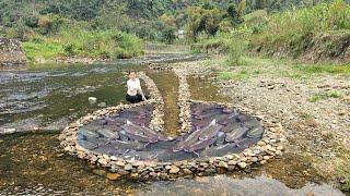 Ana cleverly stacked rocks on top of each other to create a unique fish trap in a large stream.