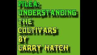 Pilea: Understanding The Cultivars by Larry Hatch (cultivar.org)
