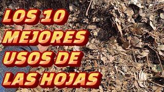 HOJAS, 10 USOS EN EL HUERTO, PLANTAS Y CAMPO