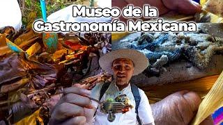 Museo de la Gastronomía Mexicana en Singuilucan Hidalgo