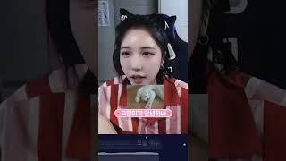 어? 고양이 떴다