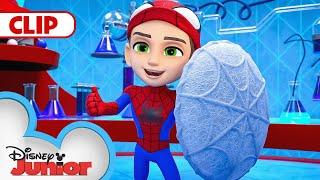 Spin Saves the Day | Marvel's Spidey and his Amazing Friends | @disneyjr