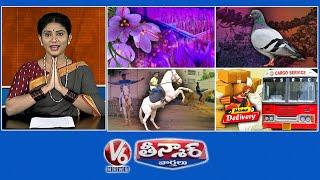 Saffron Farming | Pigeon Feeding Spots | Horse Riding School | V6  Weekend Teenmaar