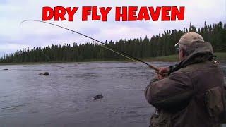 Dry Fly Heaven | Labrador Brook Trout Fantasy