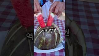더운날엔 누가 뭐래도 수박이쥐!!