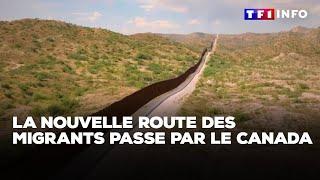 Présidentielle américaine : la nouvelle route des migrants passe par le Canada｜TF1 INFO