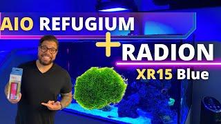 RADION XR15 BLUE + AIO REFUGIUM---REEF UPDATE