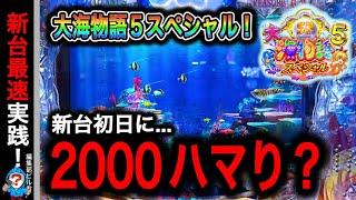 【新台 P大海物語5スペシャル】実践動画！新台導入初日から2000ハマり...(編集部ビル君実践動画2024/11/05,06）