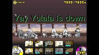 Getting Yulala cat