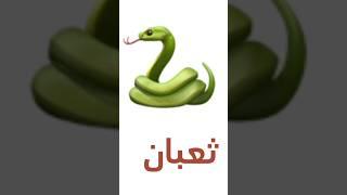 Exploring Arabic Insect and Reptile Names الحشرات والزواحف  #ArabicInsects #ArabicReptiles #learn