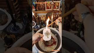 СНИМАЕМ ПОДМЕН ДОГОВОРОВ, ПОДМЕН НАСЛЕДИЯ, ПОДМЕН РЕСУРСОВ РОДА️СТАВИМ ЗАЩИТЫ️