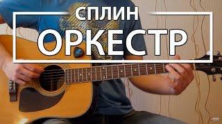 Как играть Сплин - Оркестр. Урок и аккорды на гитаре для начинающих, видеоурок Сплин аккорды