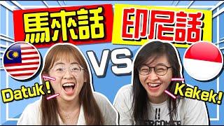 用馬來文跟印尼人講話！意外很好溝通？Bahasa Melayu Vs Bahasa Indonesia! 【手癢計劃】feat. @HeniVinesia