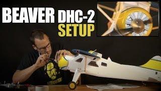 MHF/REVIEW/ Beaver DHC-2 by Dynam -  UNBOXING & SETUP