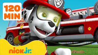 PAW Patrol Marshall's Most Daring Rescues! #2  2 Hours | Nick Jr.