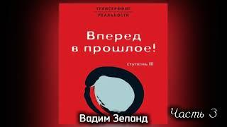 ‼️ТРАНСЕРФИНГ РЕАЛЬНОСТИ . ВПЕРЕД В ПРОШЛОЕ . Ступень III. Часть 3 .Вадим Зеланд