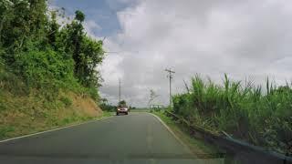 Driving to the Aibonito Flower Festival in Aibonito, Puerto Rico