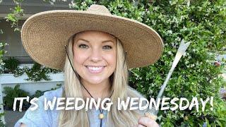 Garden Maintenance: Weeding Wednesday!  :: Garden Maintenance Schedule and Getting Stuff Done! 