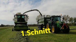 Der erste Schnitt 2024 mit Claas Jaguar, John Deere