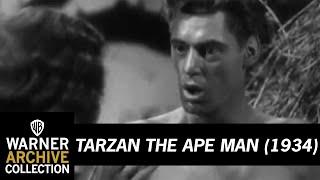 Clip | Tarzan the Ape Man | Warner Archive